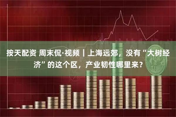 按天配资 周末侃·视频｜上海远郊，没有“大树经济”的这个区，产业韧性哪里来？