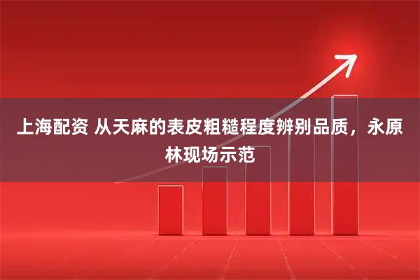 上海配资 从天麻的表皮粗糙程度辨别品质，永原林现场示范