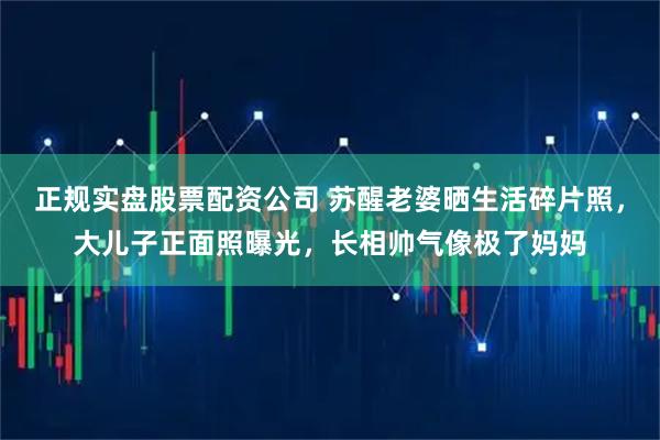 正规实盘股票配资公司 苏醒老婆晒生活碎片照，大儿子正面照曝光，长相帅气像极了妈妈