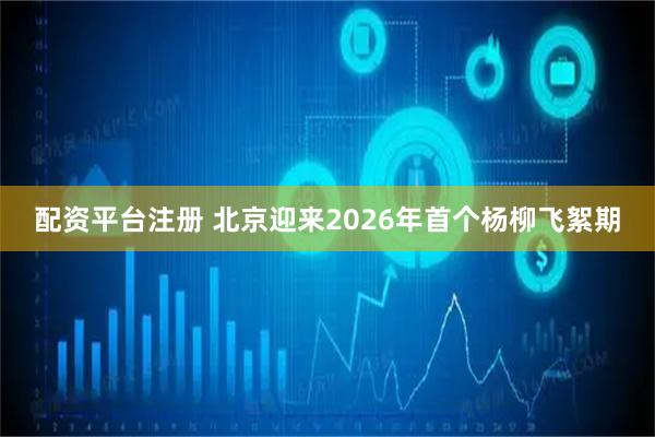 配资平台注册 北京迎来2026年首个杨柳飞絮期